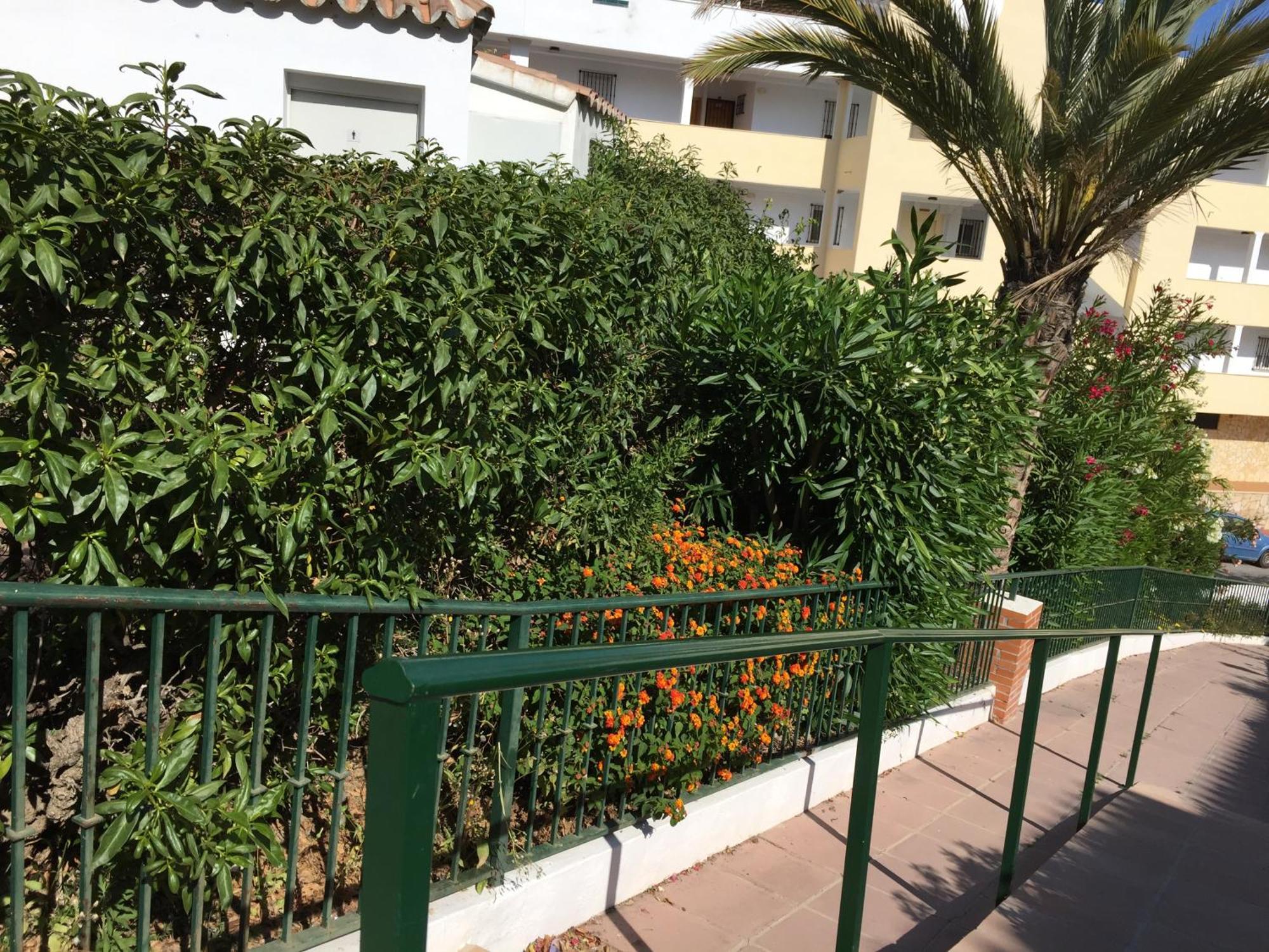 Apartamento Stella Blanca 24B Fuengirola Exterior foto